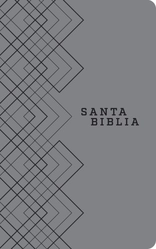 Santa Biblia NTV, Edición ágape (SentiPiel, Gris) - LeatherLike Gray