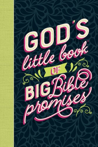 God's Little Book of Big Bible Promises - Hardcover