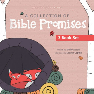 Collection of Bible Promises 3-book set: You Are / Tonight / Chosen - Board book