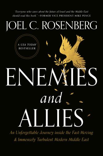 Enemies and Allies - Softcover