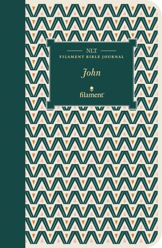 NLT Filament Bible Journal: John (Softcover) - Softcover