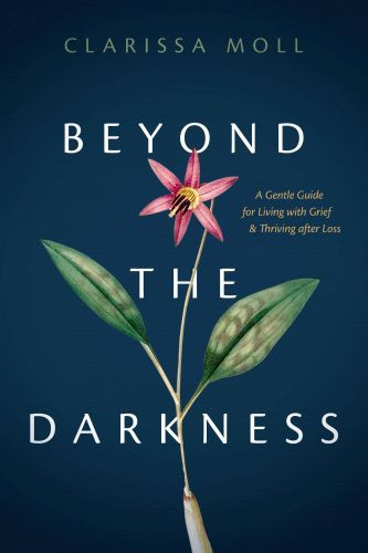Beyond the Darkness - Softcover