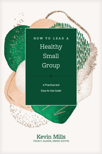 How to Lead a Healthy Small Group - Hardcover