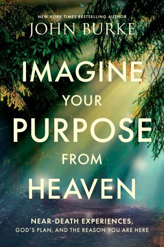 Imagine Your Purpose from Heaven - Softcover