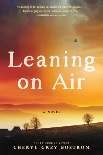 Leaning on Air - Hardcover