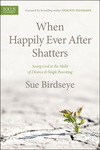 When Happily Ever After Shatters - Softcover