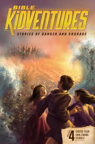 Bible KidVentures Stories of Danger and Courage - Softcover