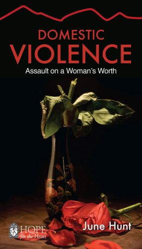 Domestic Violence - Softcover