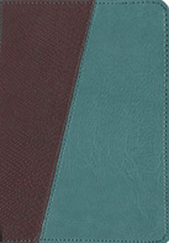 The Message Compact, Python  - Leather-Look Brown/Teal With ribbon marker(s)