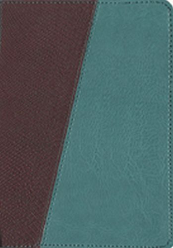 Message Compact, Python (Leather-Look, Brown/Teal) - Leather-Look Teal/Brown Python/Teal With ribbon marker(s)