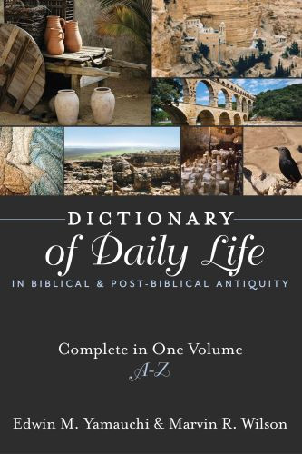 Dictionary of Daily Life in Biblical and Post-Biblical Antiquity - Hardcover Paper over boards