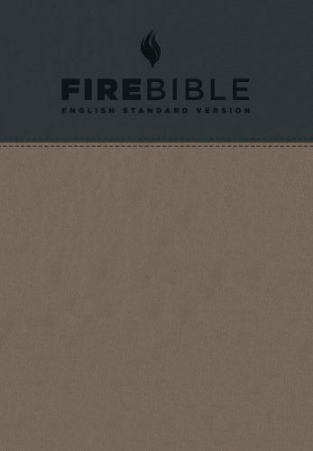 ESV Fire Bible (Flexisoft, Slate/Charcoal, Red Letter) - Sewn Charcoal/Slate Imitation Leather With ribbon marker(s)