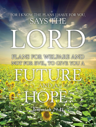 Jeremiah 29:11 Wall Chart - Wallchart