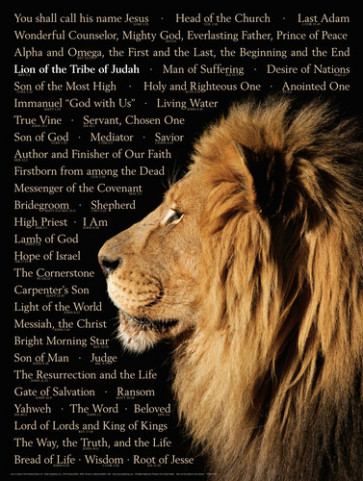 Lion of Judah (Names of Christ) Wall Chart - Wallchart