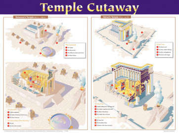 Temple Cutaway Wall Chart - Wallchart
