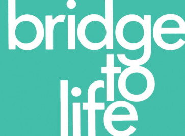 Bridge to Life (green) 25-pack - Pamphlet