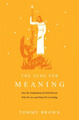 Ache for Meaning - Softcover