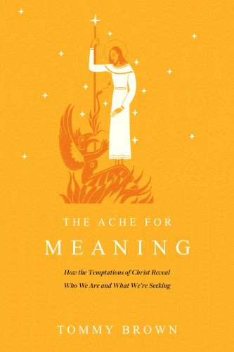 Ache for Meaning - Softcover