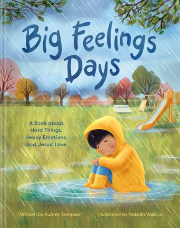 Big Feelings Days - Hardcover