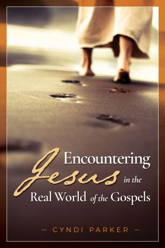 Encountering Jesus in the Real World of the Gospels - Softcover