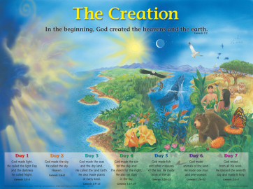 Creation Wall Chart - Wallchart