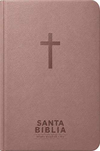 Santa Biblia Reina-Valera 1960 - Visual con mapas mentales (SentiPiel, Rosa, Letra Roja) - LeatherLike With ribbon marker(s)