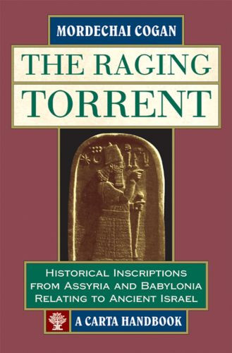 The Raging Torrent - Hardcover Cloth over boards