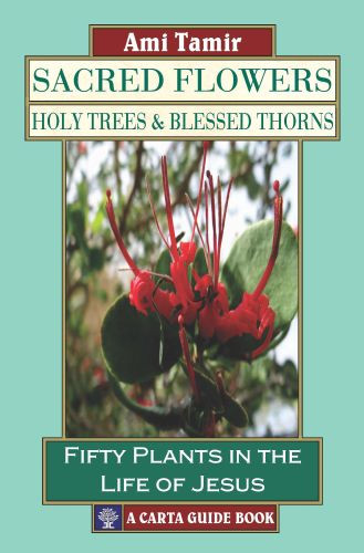 Sacred Flowers, Holy Trees, & Blessed Thorns - Softcover