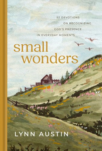 Small Wonders - Hardcover