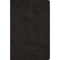 ESV Large Print Bible (TruTone, Black) - Imitation Leather With ribbon marker(s)