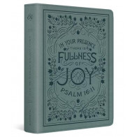 ESV Single Column Journaling Bible (TruTone, Paris Sky, Psalm 16:11 Design) - Imitation Leather With ribbon marker(s)