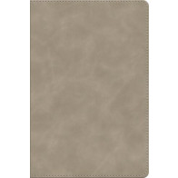 ESV Beholding Christ Bible - Imitation Leather With ribbon marker(s)