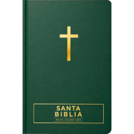 Santa Biblia Reina-Valera 1960 - Visual con mapas mentales (Tapa dura, Verde, Letra Roja) - Hardcover With ribbon marker(s)