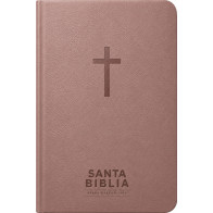 Santa Biblia Reina-Valera 1960 - Visual con mapas mentales (SentiPiel, Rosa, Letra Roja) - LeatherLike With ribbon marker(s)