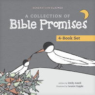 A Collection of Bible Promises 4-Book Set: When It Hurts / You Are / Tonight / Chosen - Hardcover