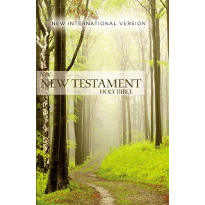 NIV, Outreach New Testament, Paperback - Softcover