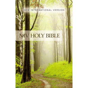 NIV, Value Outreach Bible, Paperback - Softcover