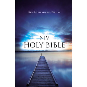 NIV, Outreach Bible, Paperback, Blue - Softcover