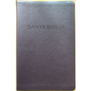 Biblia NVI - Imitation Leather