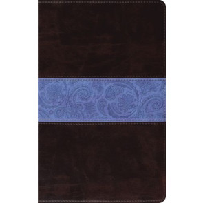 ESV Thinline Bible (TruTone, Chocolate/Blue, Paisley Band Design) - Imitation Leather Multicolor With ribbon marker(s)