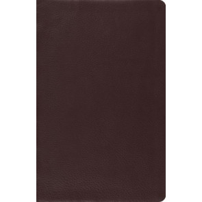 ESV Large Print Thinline Reference Bible (Top Grain Leather, Brown) - Genuine Leather With ribbon marker(s)