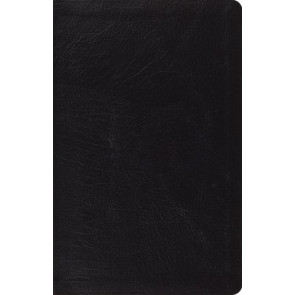 ESV Large Print Thinline Reference Bible  - Genuine Leather With ribbon marker(s)