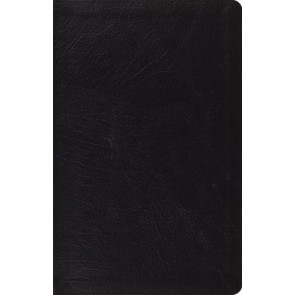 ESV Large Print Thinline Reference Bible (Black) - Genuine Leather With ribbon marker(s)