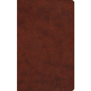 ESV Large Print Value Thinline Bible (TruTone, Chestnut) - Imitation Leather