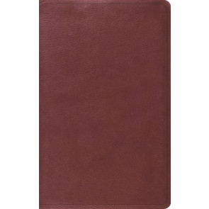 ESV Value Thinline Bible (TruTone, Burgundy) - Imitation Leather