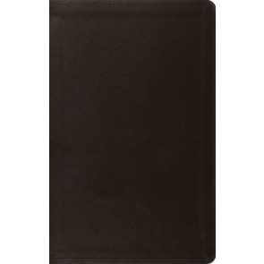 ESV Value Thinline Bible (TruTone, Black) - Imitation Leather