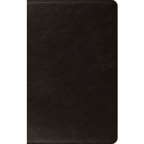 ESV Large Print Thinline Bible  - Genuine Leather With ribbon marker(s)