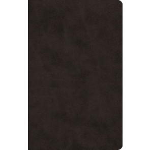 ESV Large Print Value Thinline Bible (TruTone, Black) - Imitation Leather