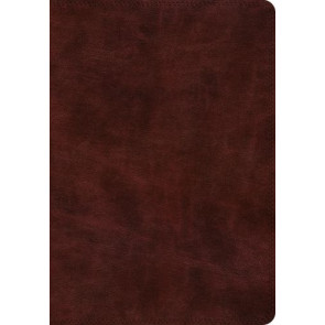ESV Super Giant Print Bible (TruTone, Burgundy) - Imitation Leather With ribbon marker(s)