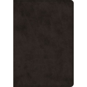 ESV Super Giant Print Bible (TruTone, Black) - Imitation Leather With ribbon marker(s)